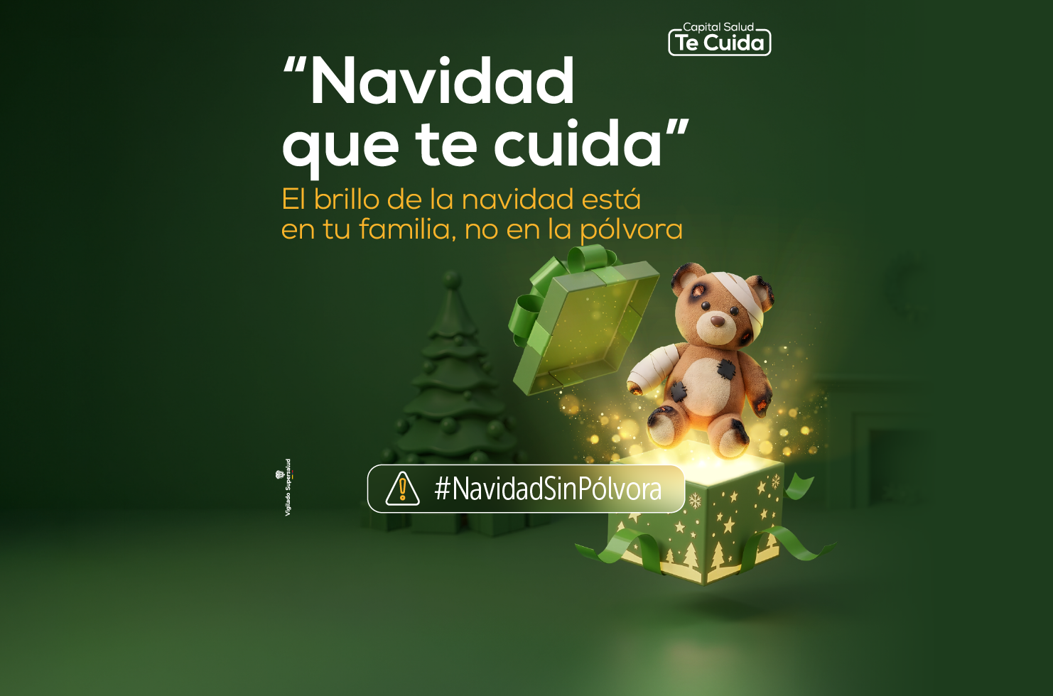 imagen de la campaña, "Navidad que te cuida".