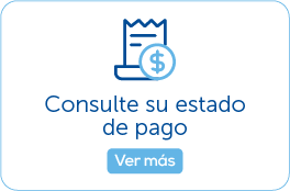 Botón consulte su estado de pago