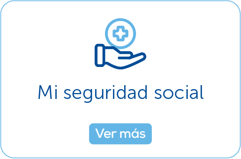 Botón Mi seguridad social