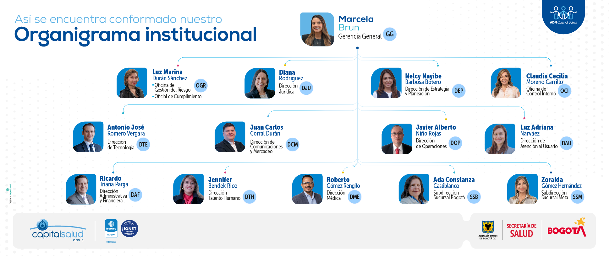 organigrama